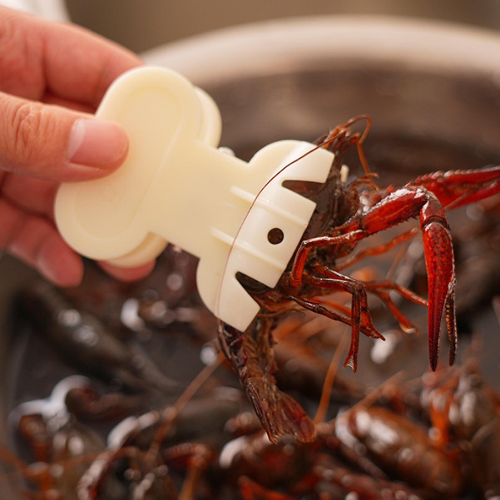 Sikat Cuci Udang Karang Anti J - Meal Prep Restaurant ulasan dan harga
